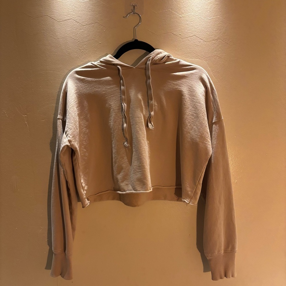 Aerie Beige Hoodie Crop Top